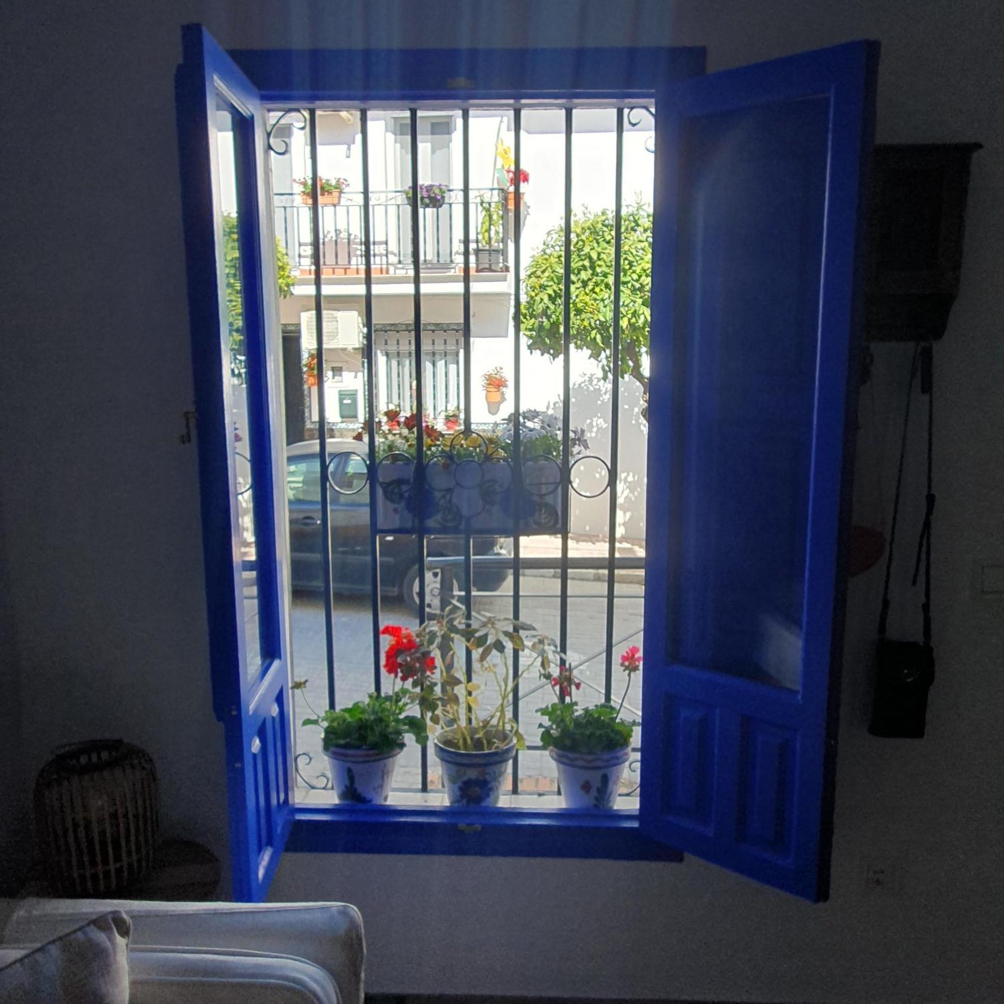 הוילה מונדה Casa Haarlemena מראה חיצוני תמונה