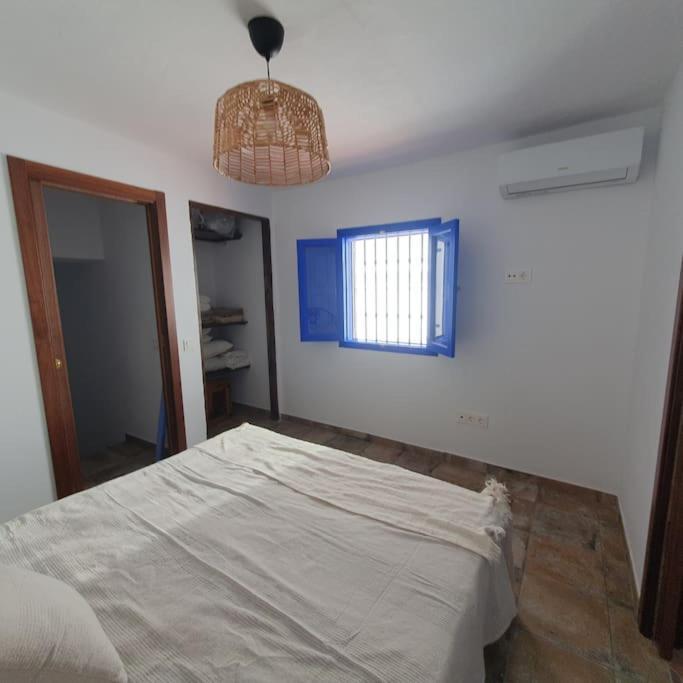 הוילה מונדה Casa Haarlemena מראה חיצוני תמונה