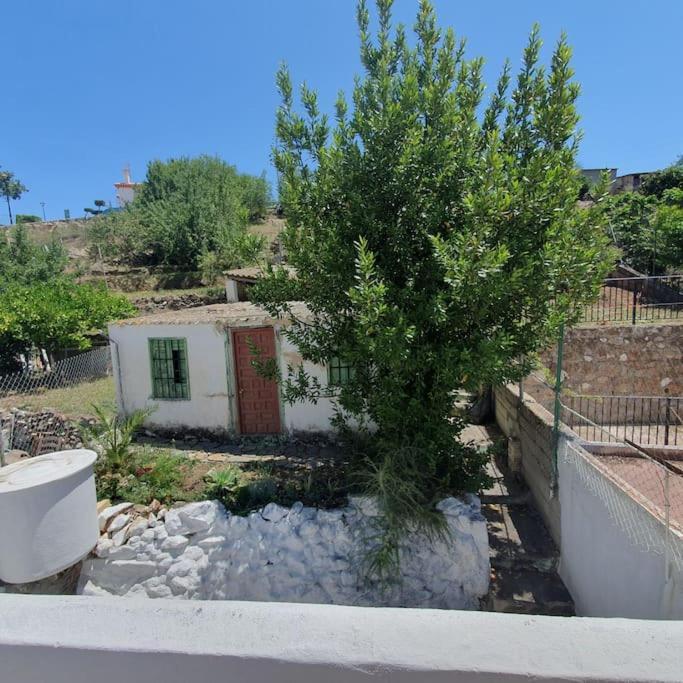 הוילה מונדה Casa Haarlemena מראה חיצוני תמונה