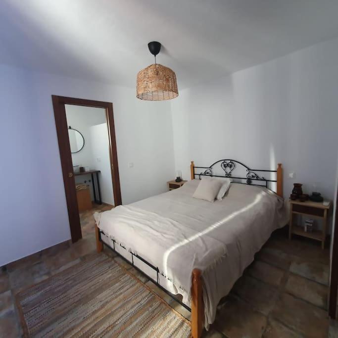 הוילה מונדה Casa Haarlemena מראה חיצוני תמונה