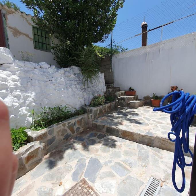 הוילה מונדה Casa Haarlemena מראה חיצוני תמונה